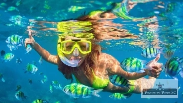 Mergulho na Sepultura